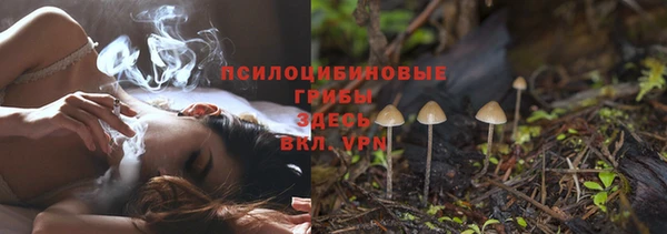 прущая мука Богородицк