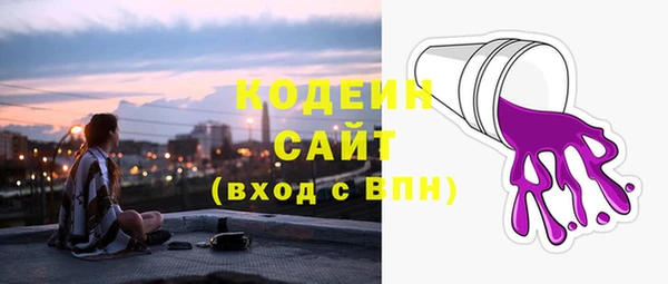 прущий лед Богданович