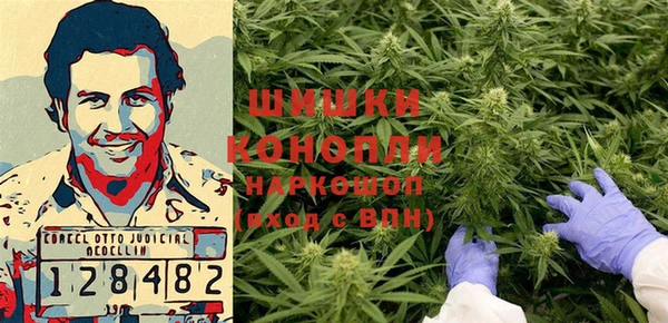 прущий лед Богданович