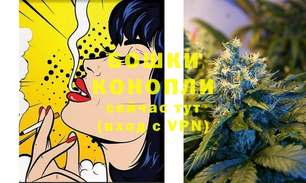 прущий лед Богданович