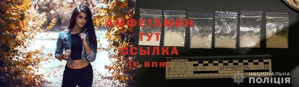 прущий лед Богданович