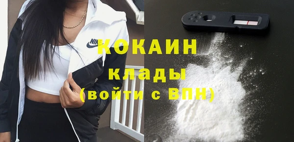 прущий лед Богданович