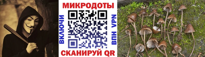 Галлюциногенные грибы Magic Shrooms  Купить закладки  Бежецк 